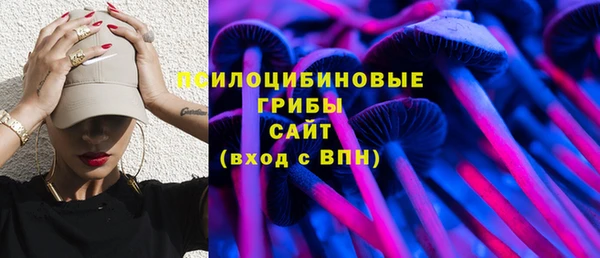 ПСИЛОЦИБИНОВЫЕ ГРИБЫ Козельск